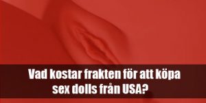 Vad-kostar-frakten-för-att-köpa-sexdocka-från-USA